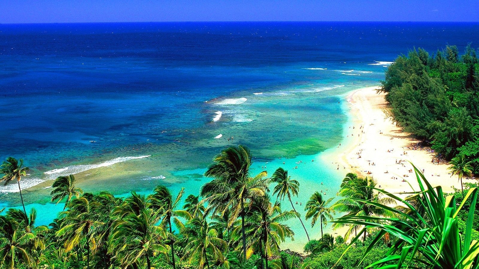 les-plages-de-hawaii