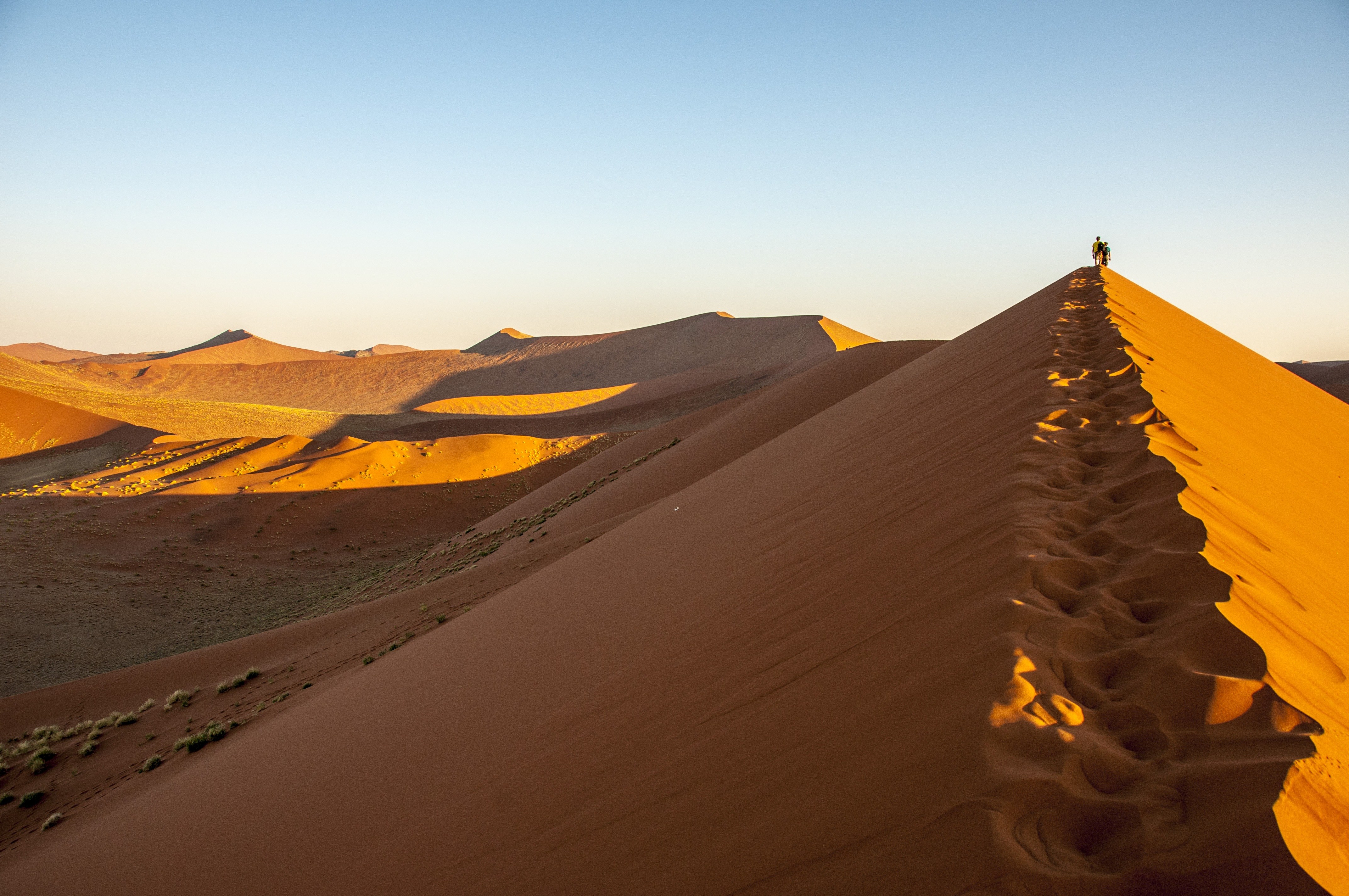 desert-de-namib-image