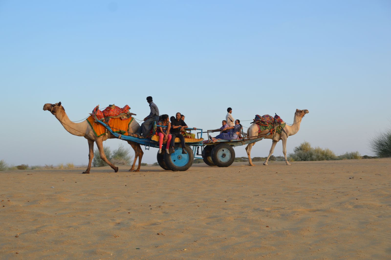 Charrette tirée par des chameaux sur les dunes de Jaisalmer