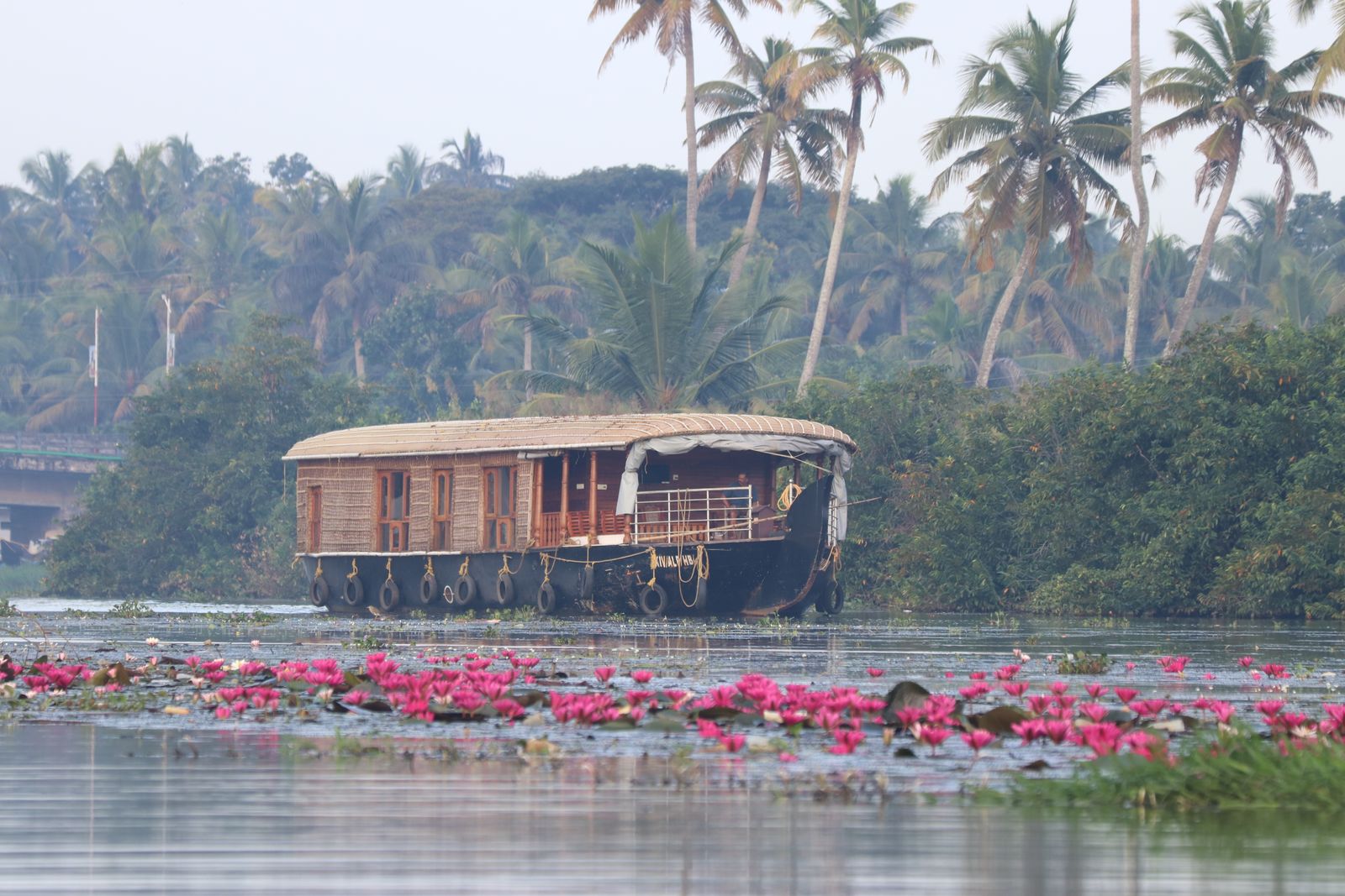 Houseboat sur les backwaters du Kerala, entre palmiers et nénuphars