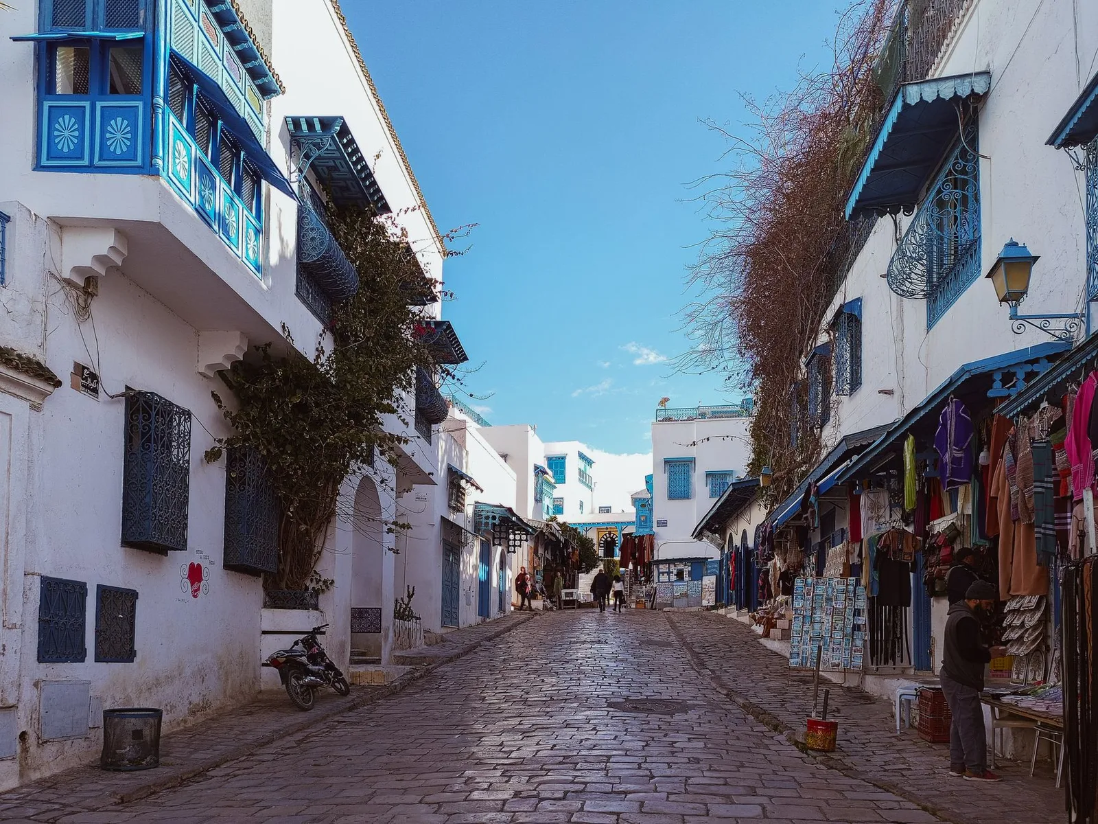 Ruelle pavée de Sidi Bou Saïd bordée de façades blanches et bleues