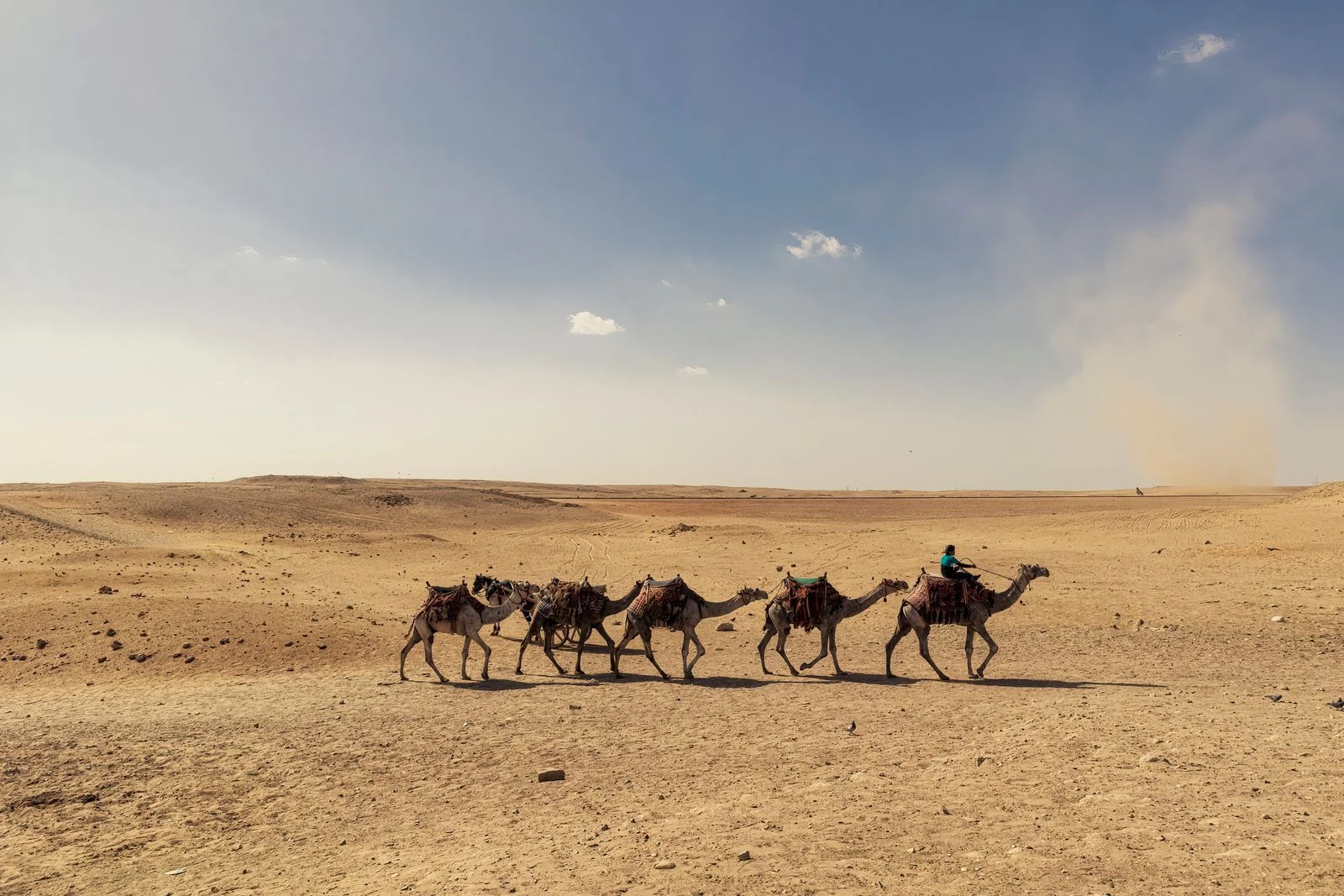 Caravane de chameaux traversant les dunes du désert égyptien