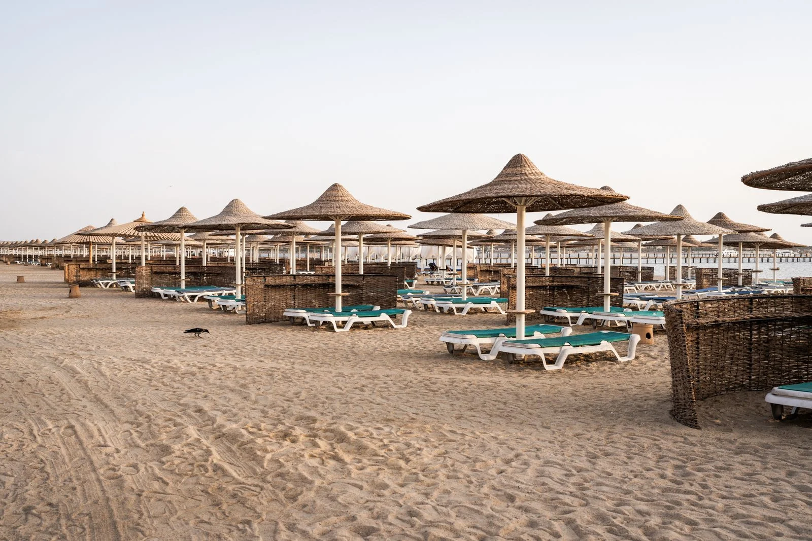 Parasols de paille sur une plage de Hurghada au bord de la mer Rouge