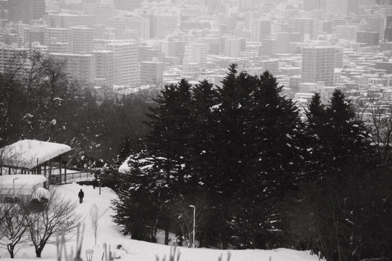 Parc enneigé de Hokkaidō, sapins chargés de neige et ville dans la brume au fond