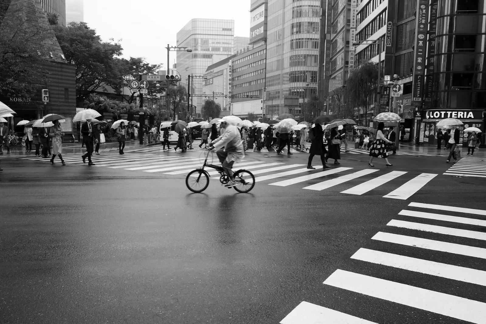 Carrefour de Tokyo sous la pluie en noir et blanc, piétons sous parapluies et cycliste