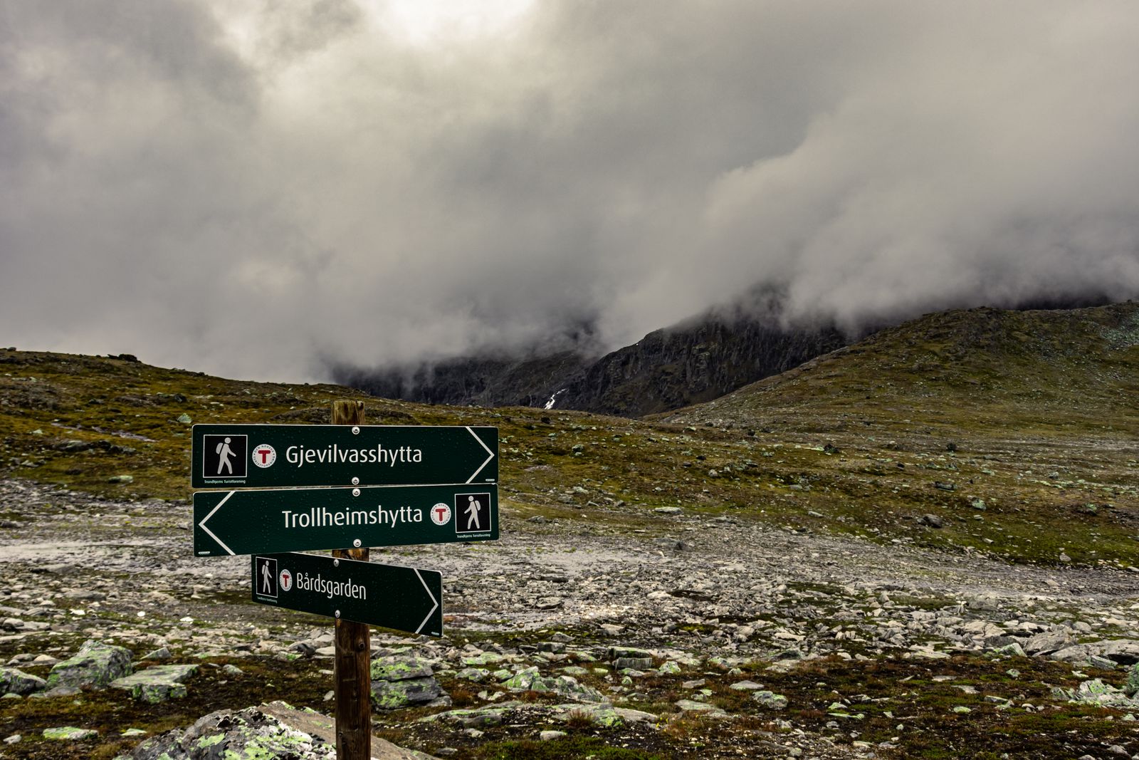 Balise de sentier de randonnée à Gjevilvasshytta, dans le Trøndelag