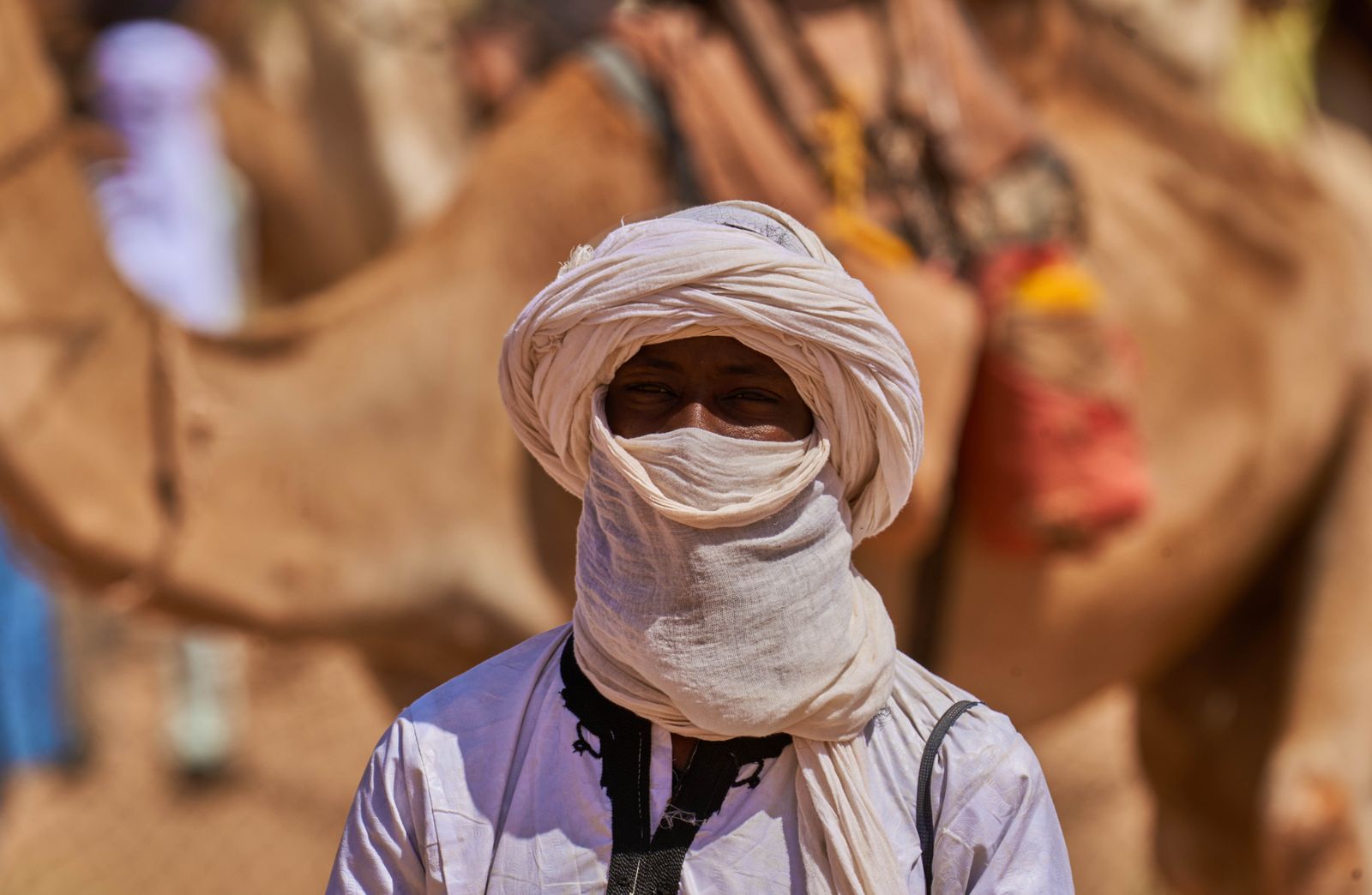 Homme touareg en chèche indigo couvrant le visage, devant un chameau à Agadez au Niger