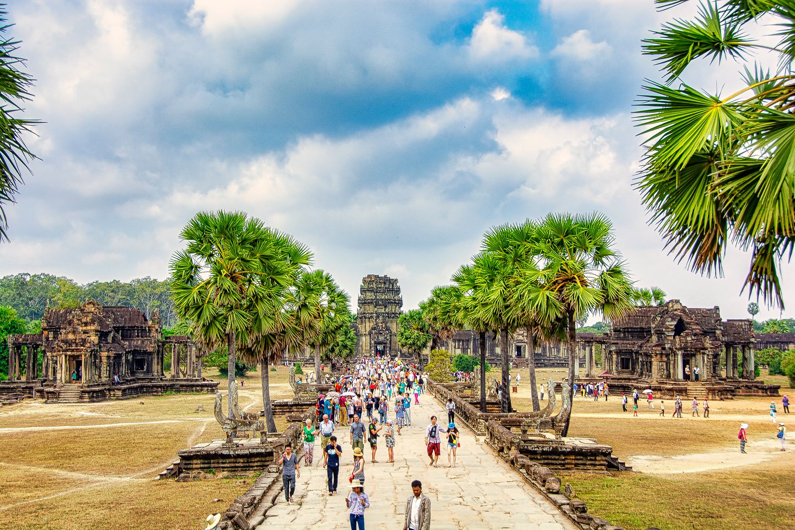 Visiteurs sur la chaussée de pierre qui mène à Angkor Wat, en plein soleil entre les palmiers