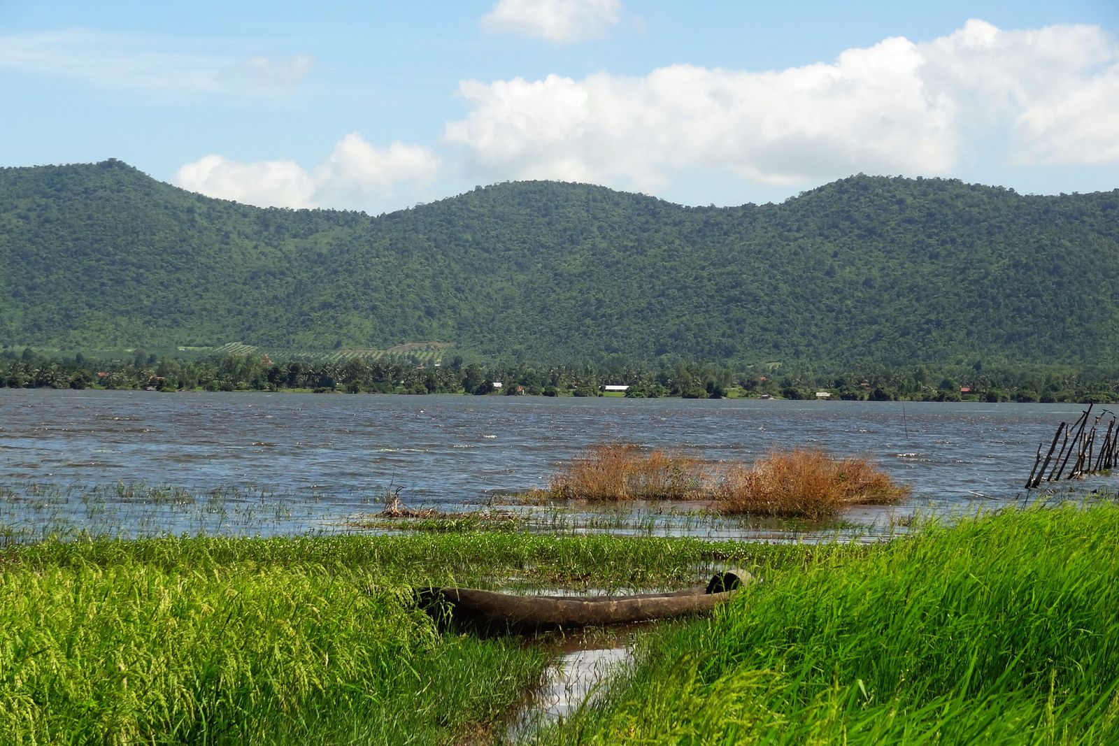 Rivière de Kampot bordée de roseaux, avec une barque et des collines boisées en arrière-plan