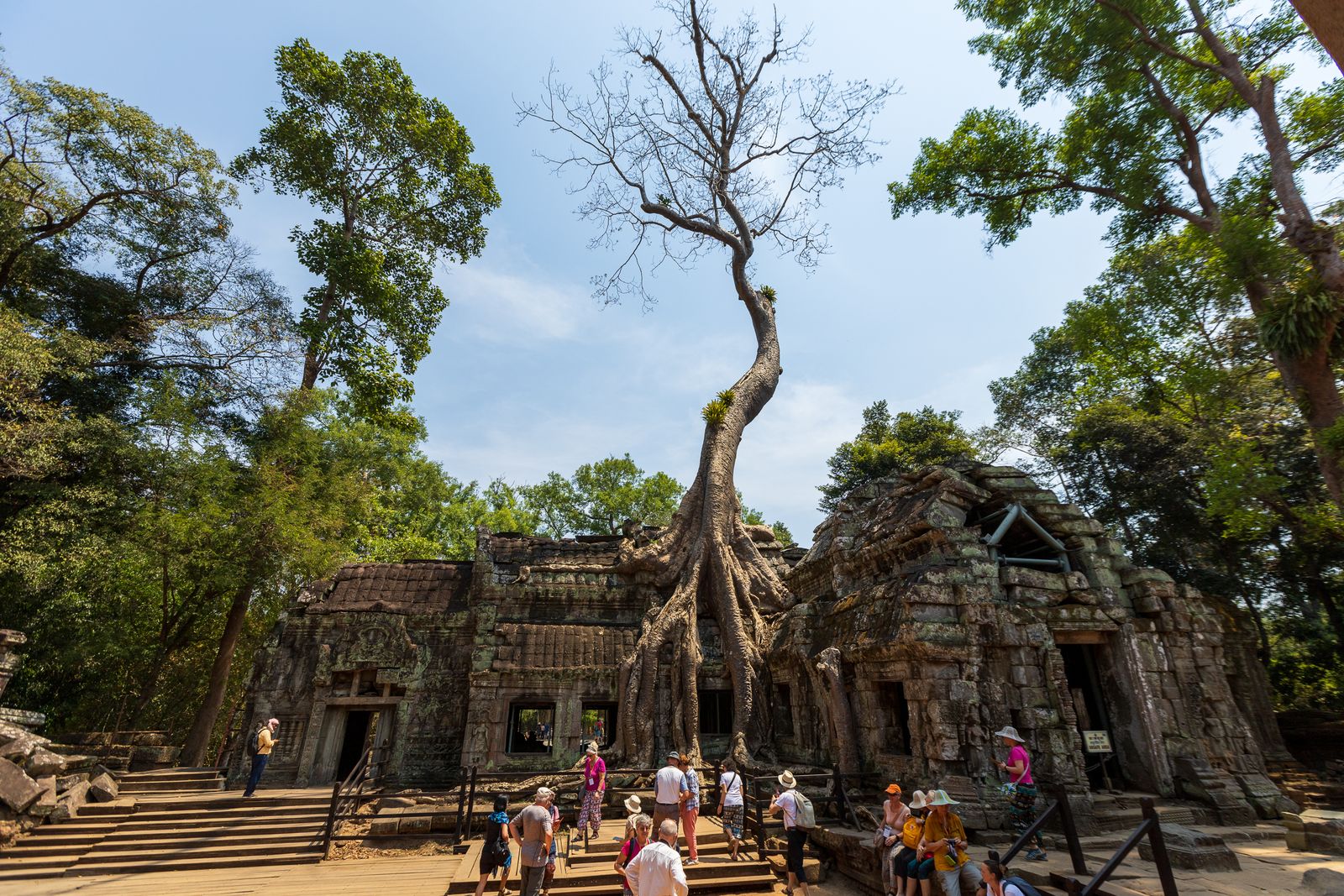 Visiteurs au pied d'un grand arbre dont les racines couvrent les ruines du temple de Ta Prohm