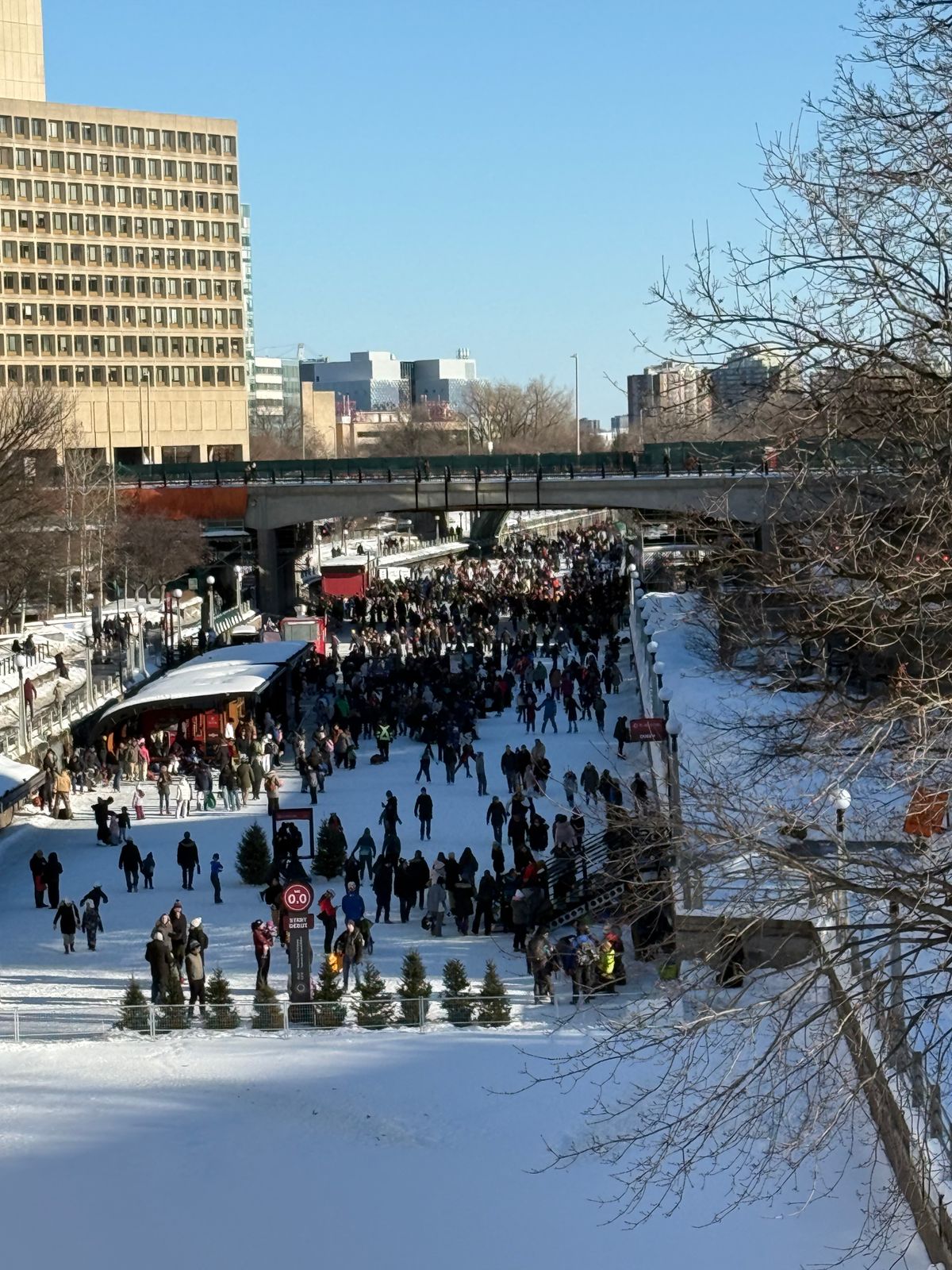 Foule de patineurs sur la patinoire du canal Rideau, à Ottawa, entre les berges enneigées