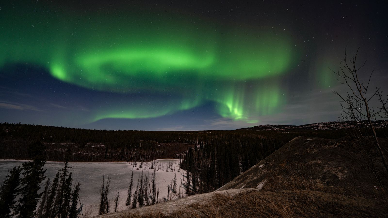 Aurore boréale verte au-dessus de la forêt enneigée près de Whitehorse, au Yukon