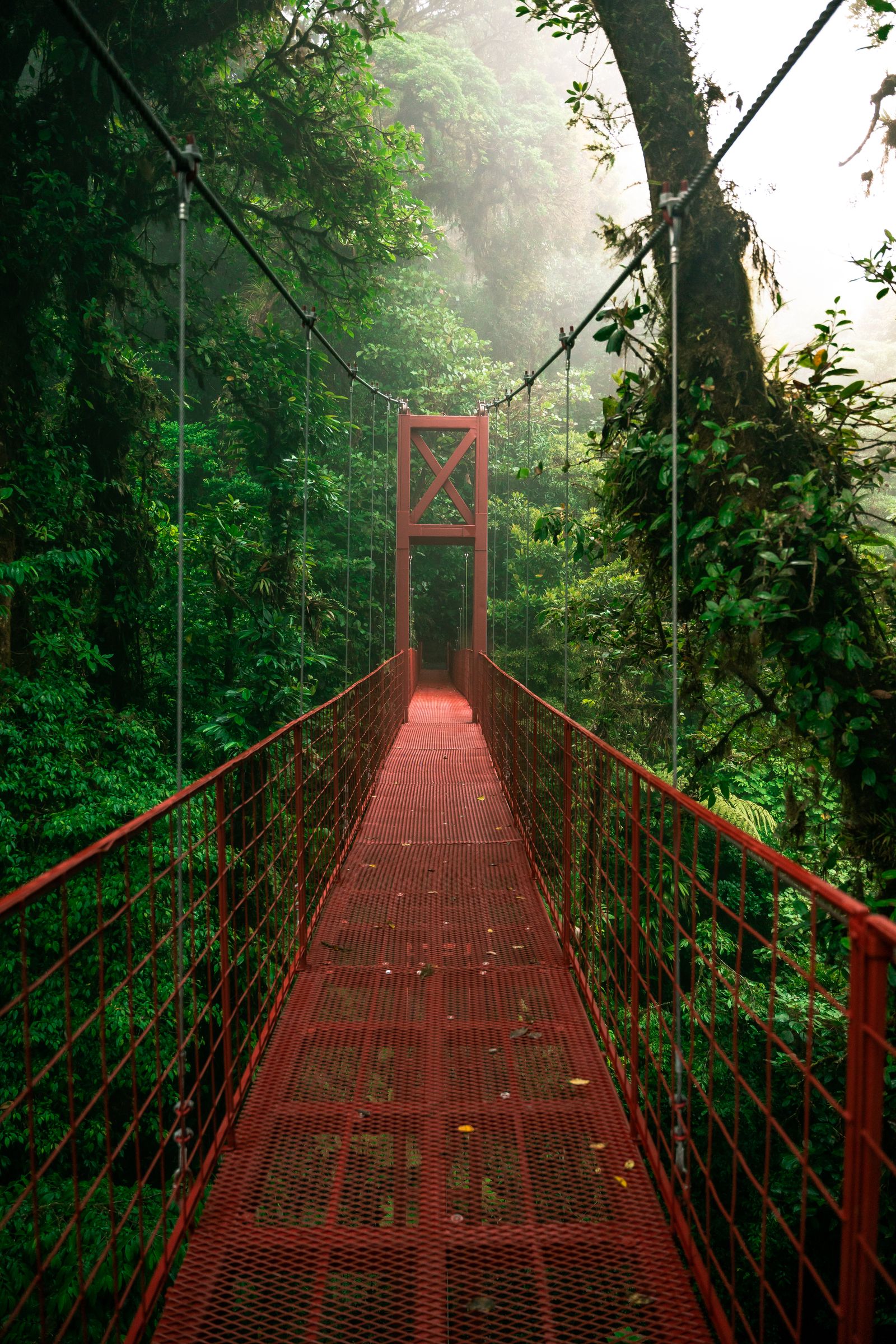 Pont suspendu rouge au milieu de la forêt de Monteverde