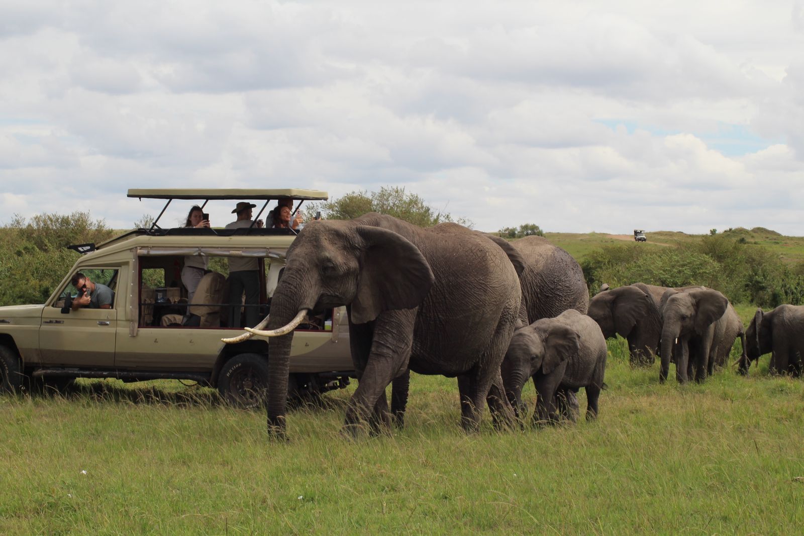 Touristes dans un véhicule de safari ouvert sur les côtés, à quelques mètres d'un groupe d'éléphants dans le Masai Mara