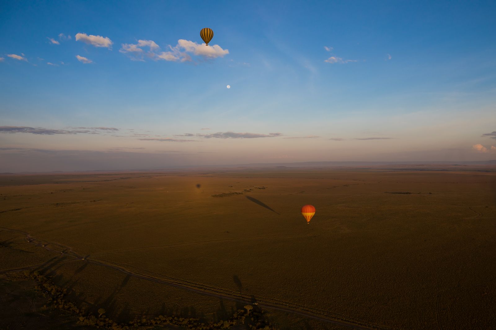 Montgolfières au-dessus de la plaine du Masai Mara au lever du soleil