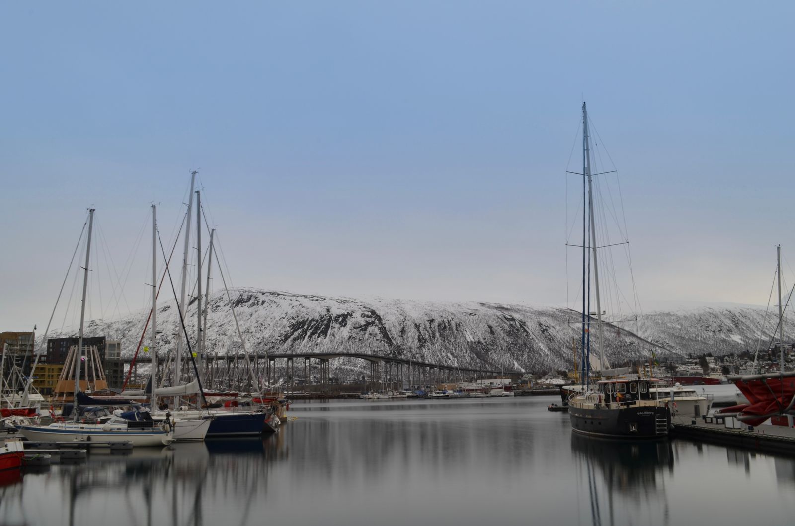 Voiliers à quai dans le port de Tromsø, devant des montagnes enneigées