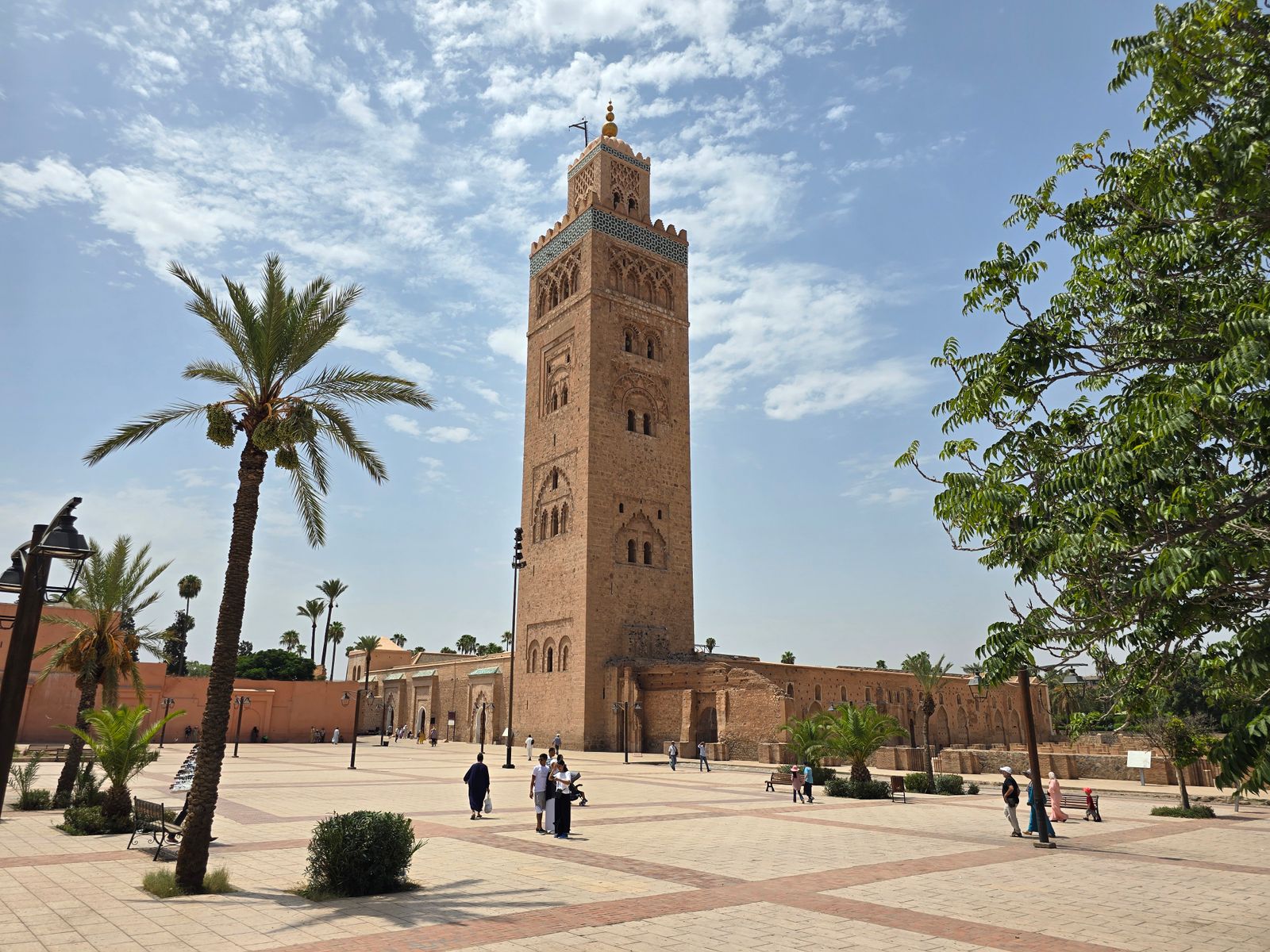 Le minaret de la Koutoubia à Marrakech, vu depuis l'esplanade bordée de palmiers