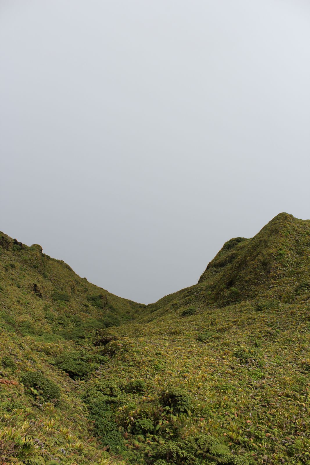 Sommets couverts de végétation sous un ciel blanc et couvert, en Martinique