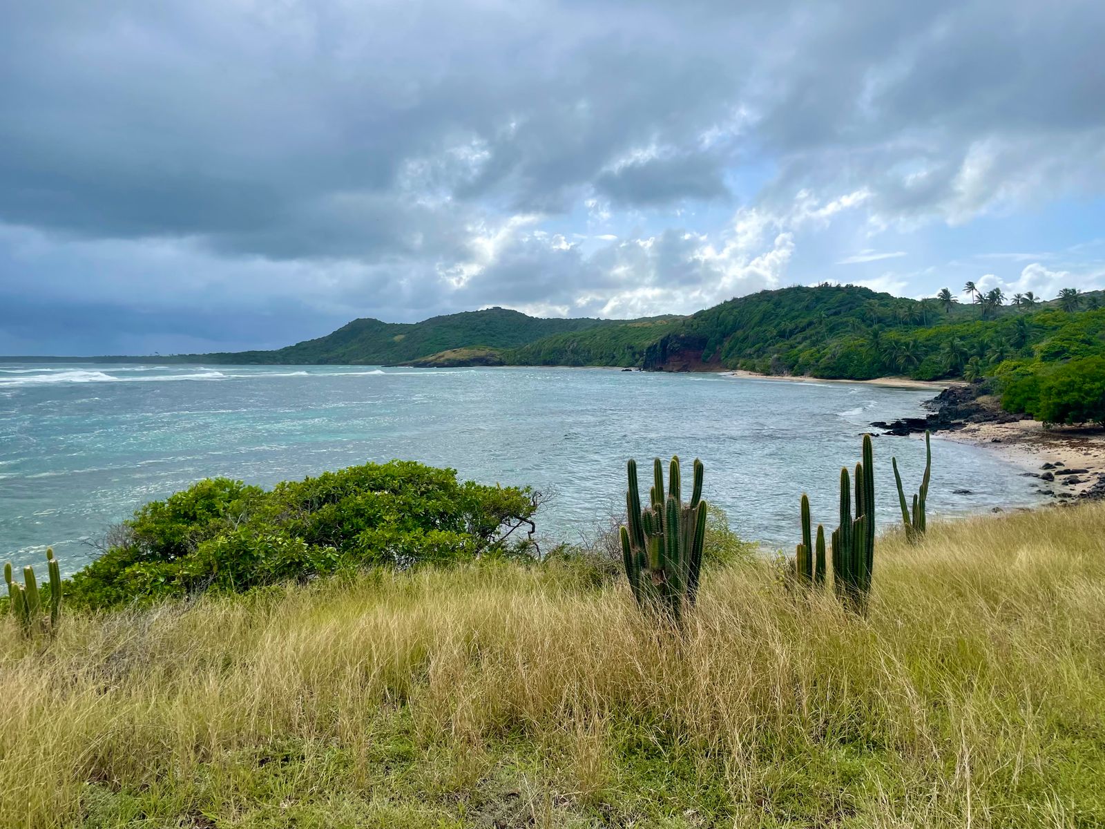 Côte de Sainte-Anne sous un ciel nuageux, cactus et herbes sèches au premier plan