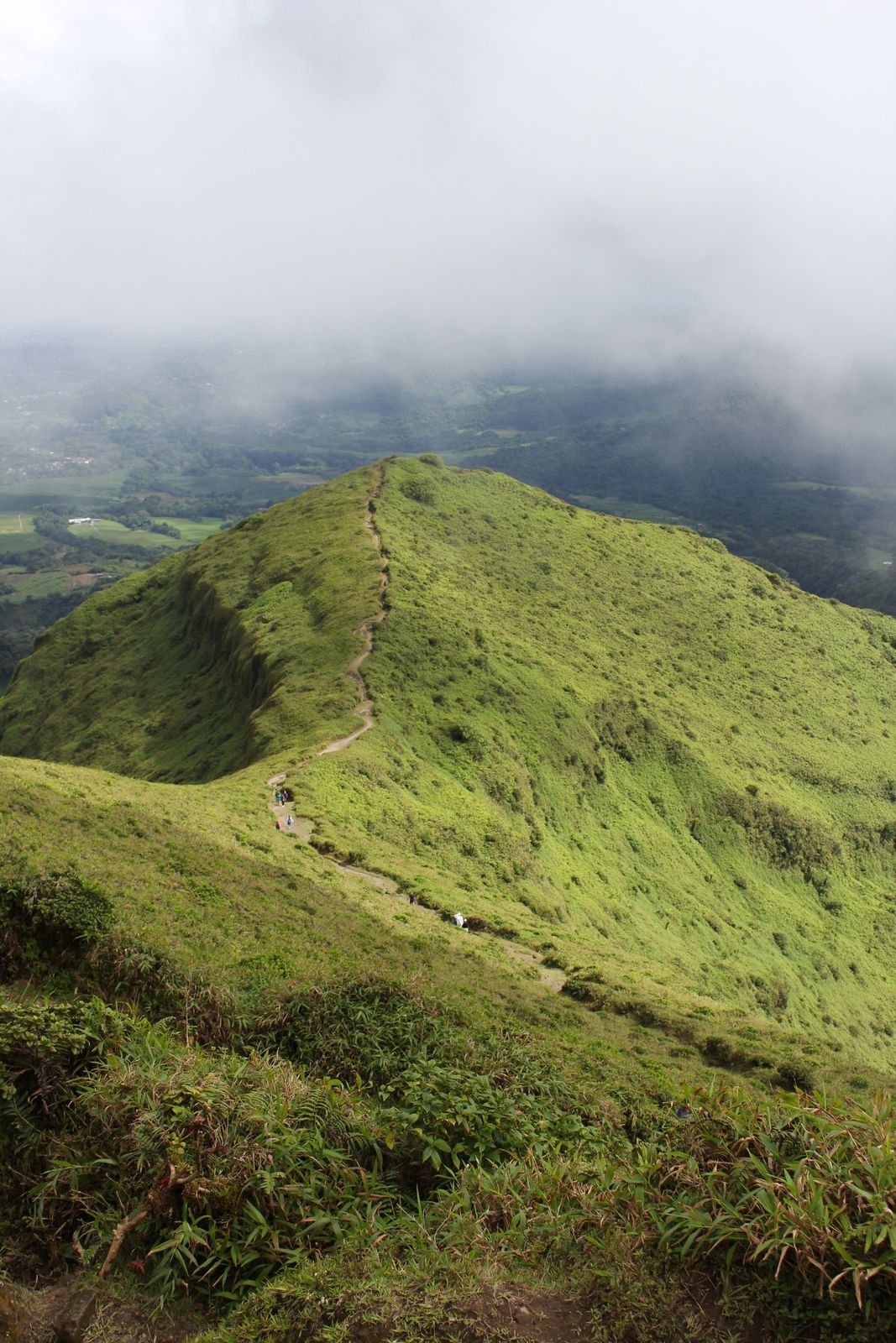 Sentier de crête dans l'herbe verte, nuages accrochés aux sommets, en Martinique