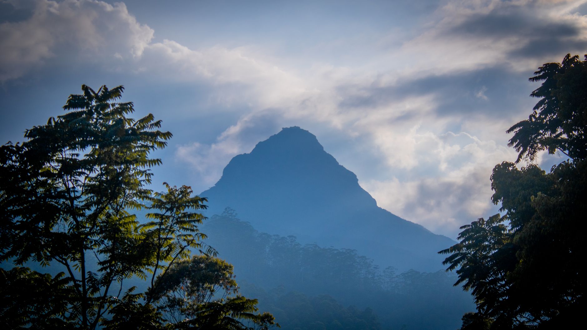 Le sommet conique de l'Adam's Peak émerge des nuages, encadré par des arbres au premier plan