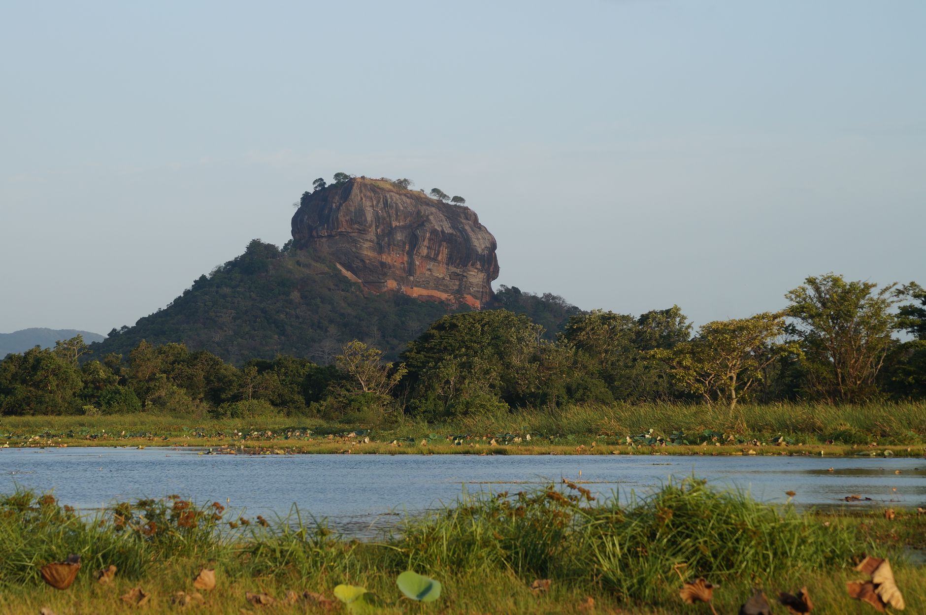 Le rocher de Sigiriya au lever du soleil, entouré d'eau et de végétation