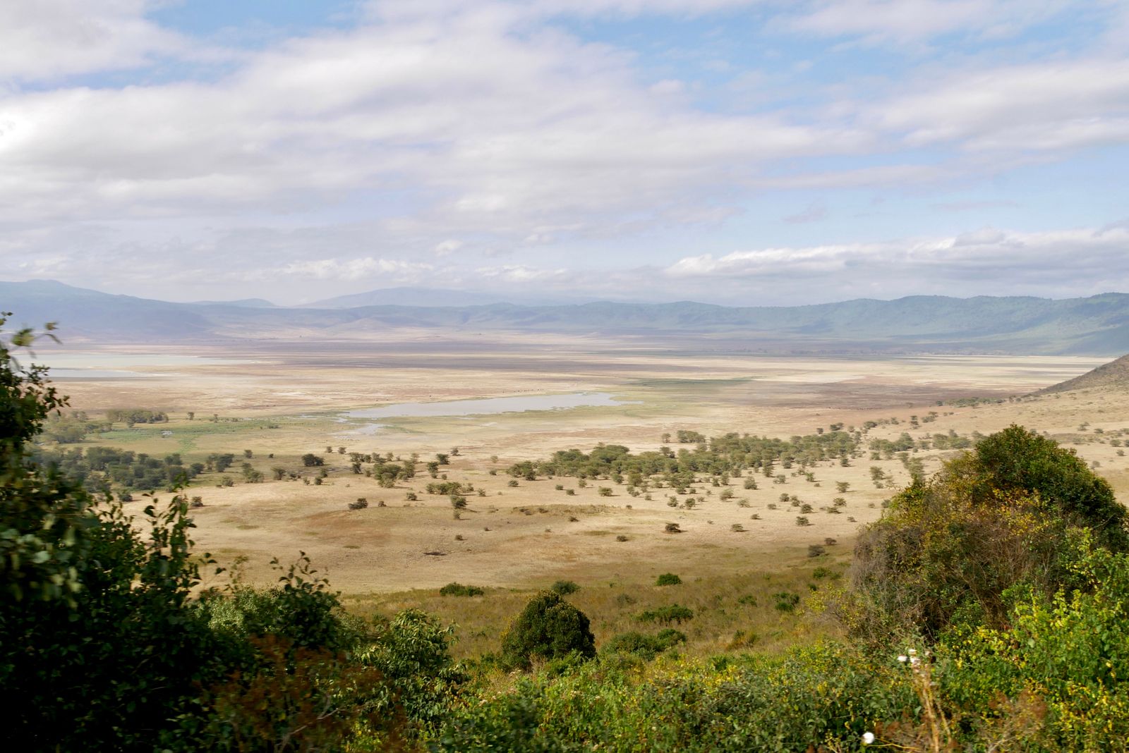 Vue sur le fond sec du cratère du Ngorongoro et son lac, à travers la végétation du rebord