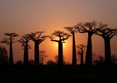 Des vêtements pour un voyage au Sénégal