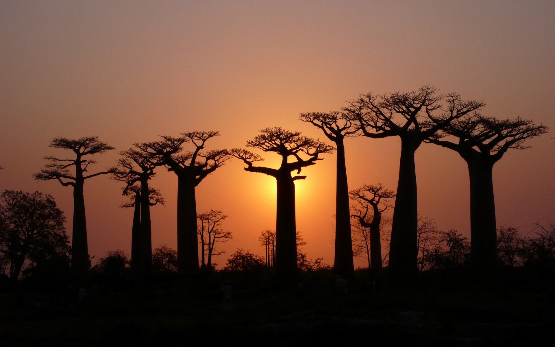 paysage du sénégal