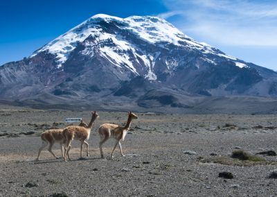 Vêtements pour voyager dans la région du Chimborazo