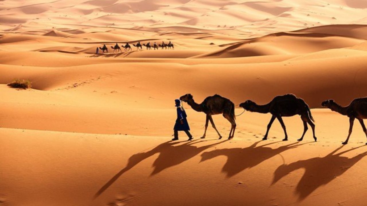 photos du désert du sahara