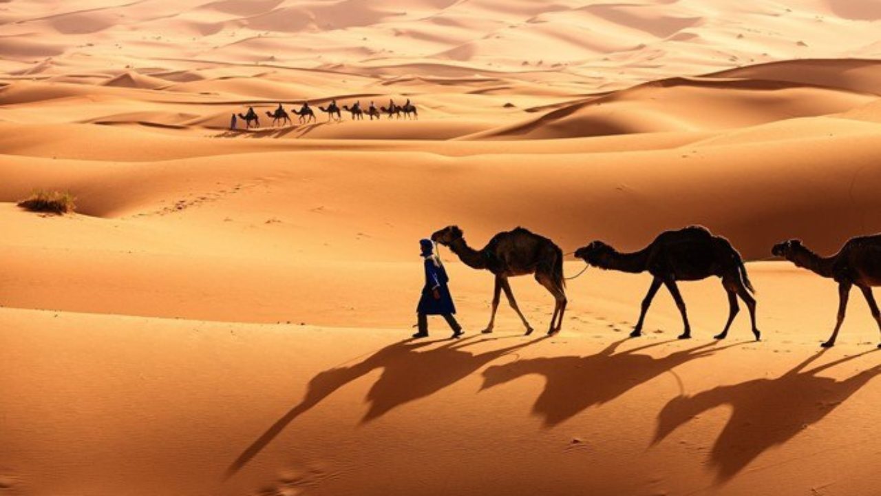 image du sahara