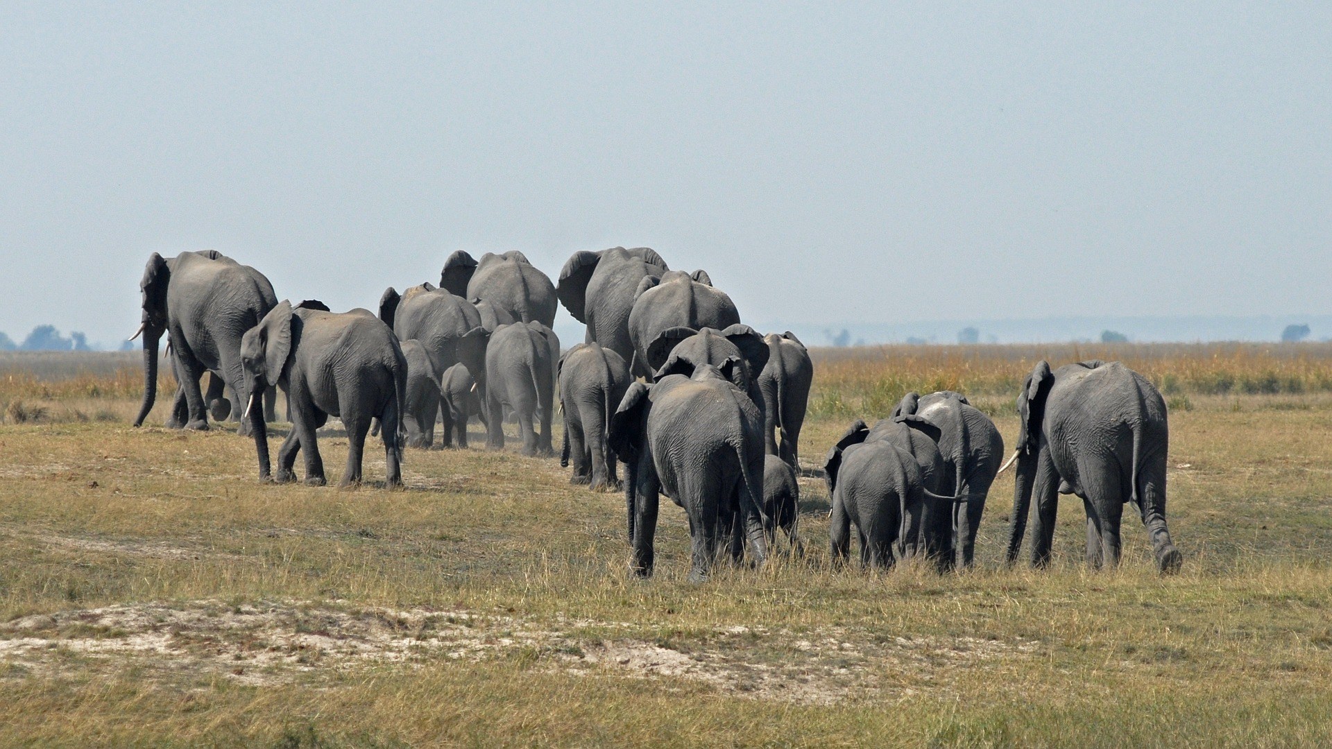 Sélection de vêtements de voyage adaptés au Botswana