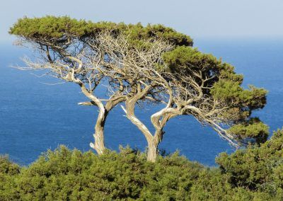 Les vêtements à emporter en voyage à Chypre