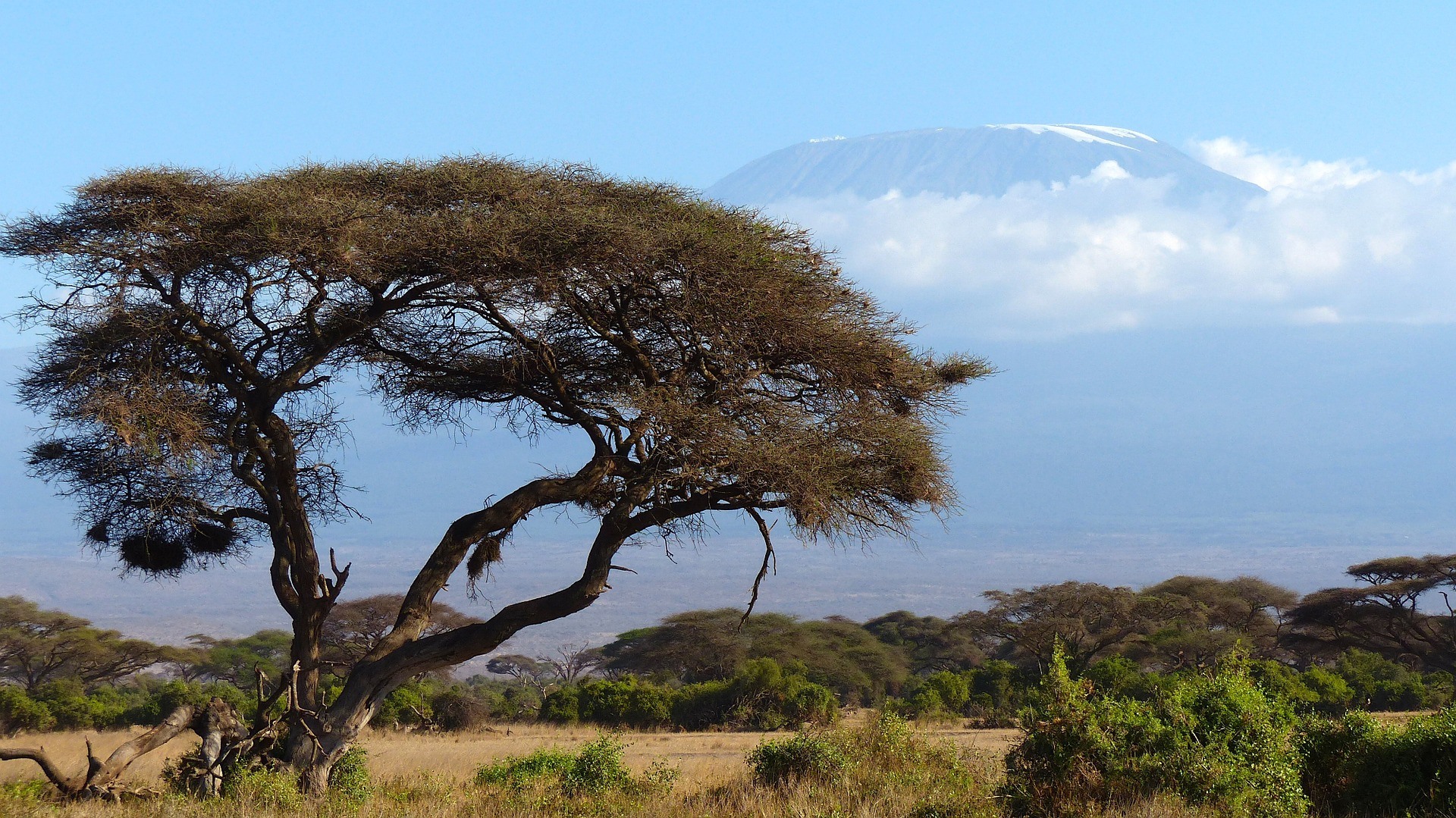 Quels vêtements pour gravir le Kilimandjaro ?