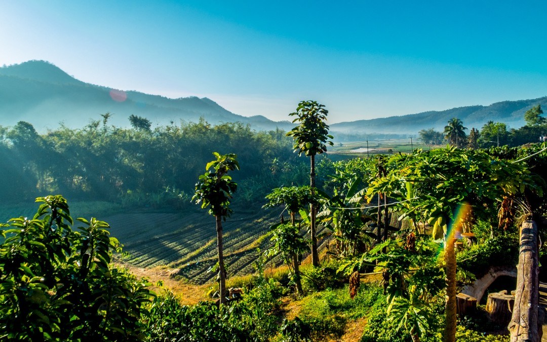 Voyage au Nord de la Thaïlande : quels vêtements choisir ?
