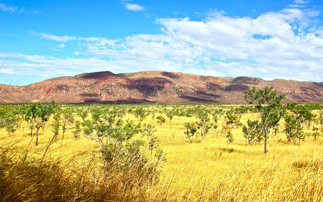 Choisir ses vêtements pour un voyage dans le bush australien