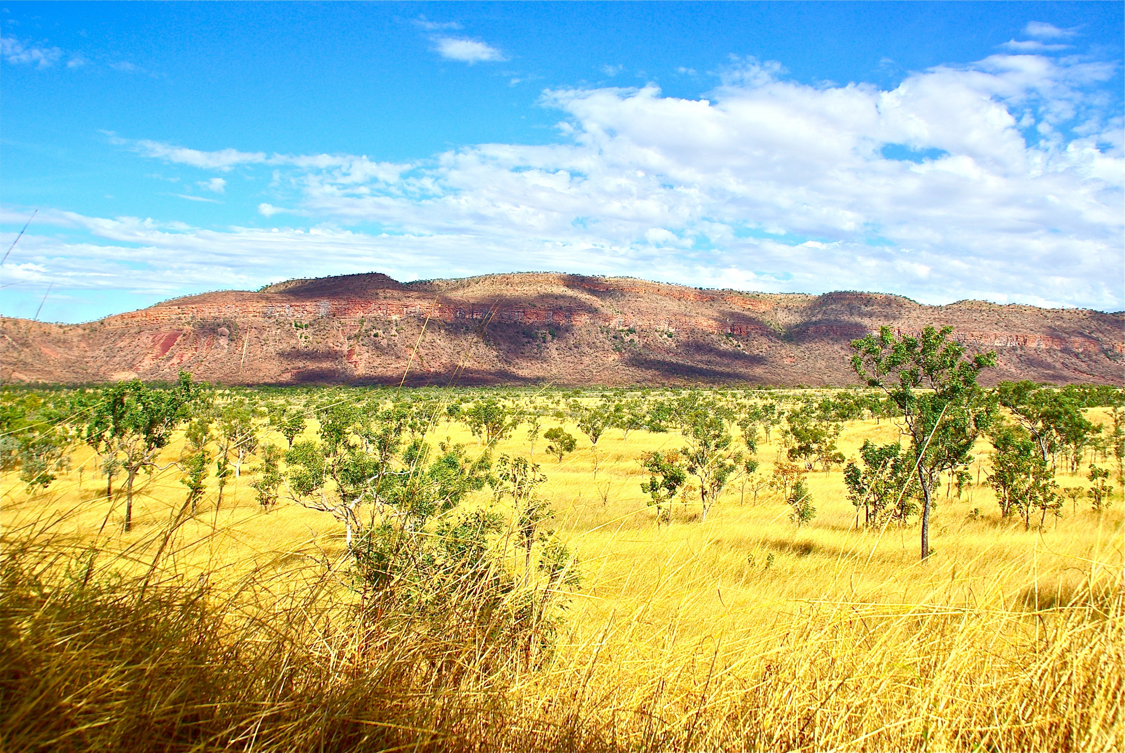 Choisir ses vêtements pour un voyage dans le bush australien